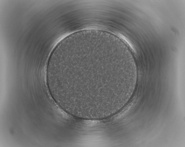 X0000115050854200912071128