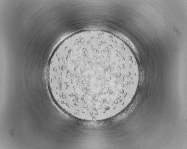 X0000115050855200912071128