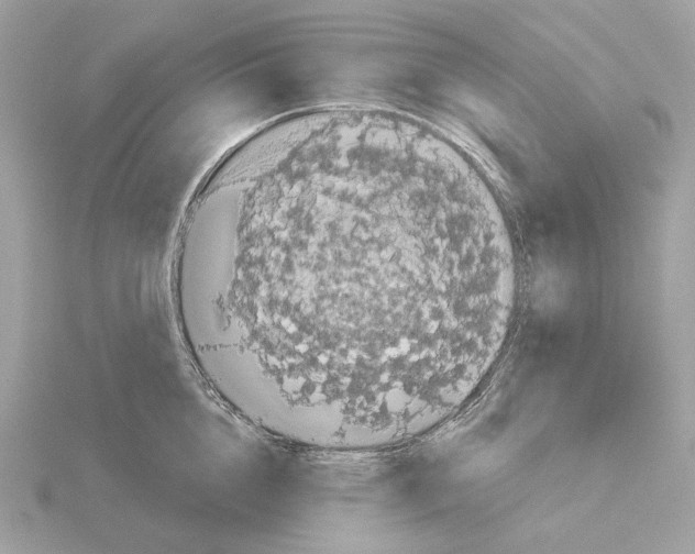 X0000115050856200912071128