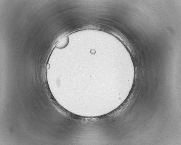 X0000115050858200912071128