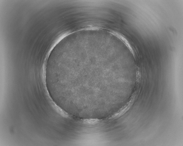 X0000115050859200912071129