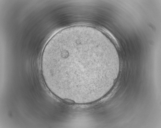 X0000115050860200912071129