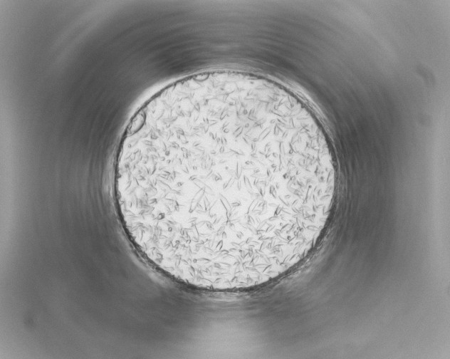 X0000115050862200912071129