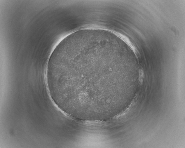 X0000115050863200912071129