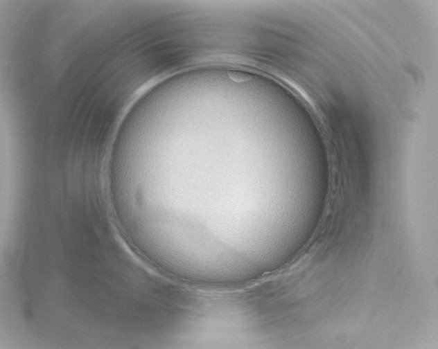 X0000115050864200912071129