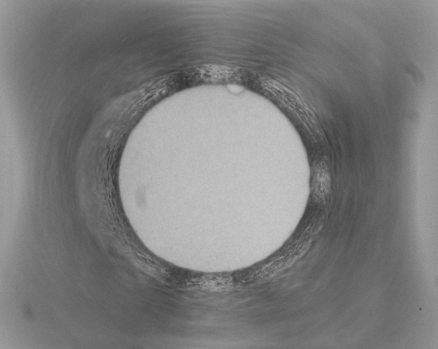 X0000115050865200912071128