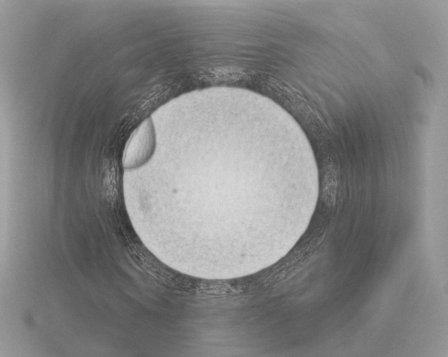 X0000115050866200912071128