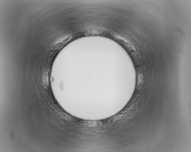 X0000115050869200912071128