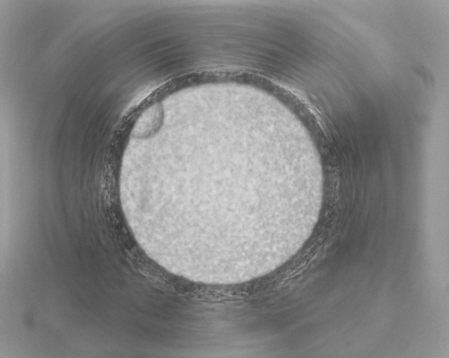 X0000115050871200912071128