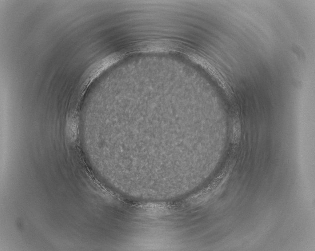 X0000115050874200912071128