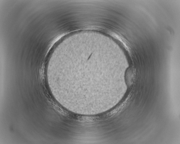 X0000115050875200912071128