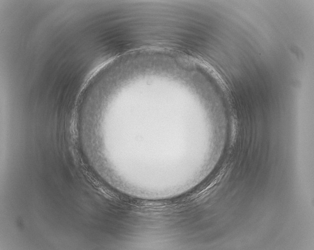 X0000115050878200912071128