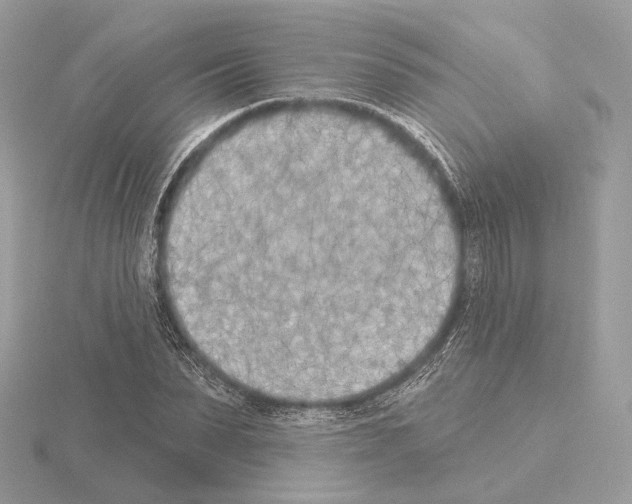 X0000115050879200912071128