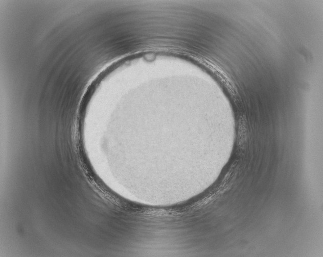 X0000115050880200912071128