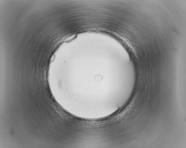 X0000115050881200912071128