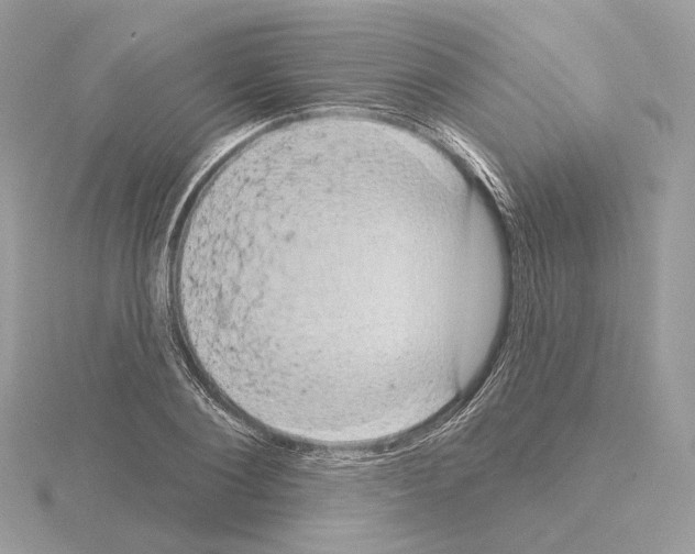 X0000115050884200912071128