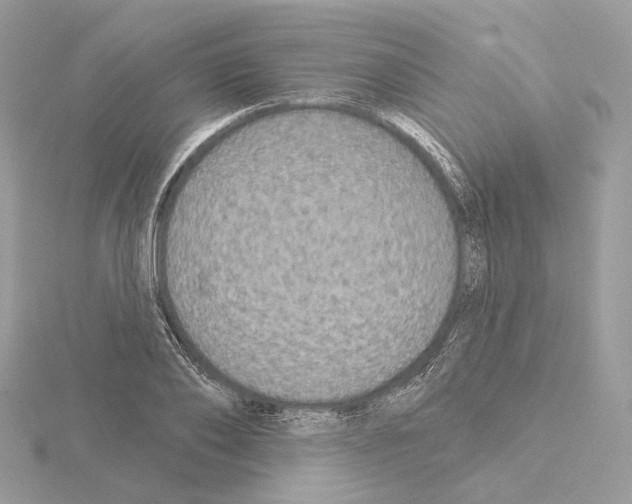 X0000115050886200912071128