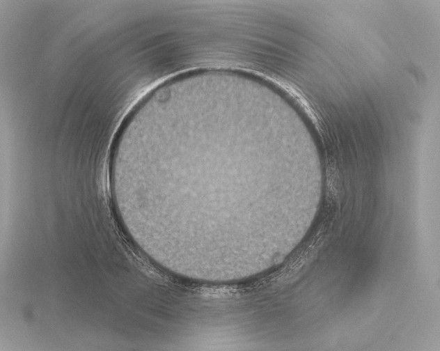 X0000115050887200912071128