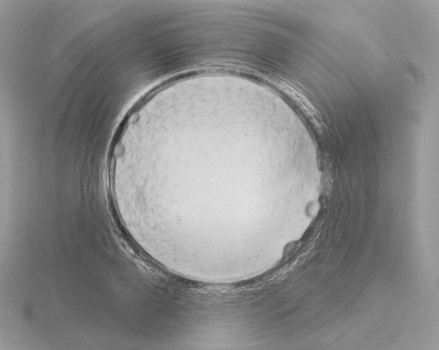 X0000115050888200912071128