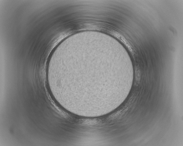 X0000115050890200912071128