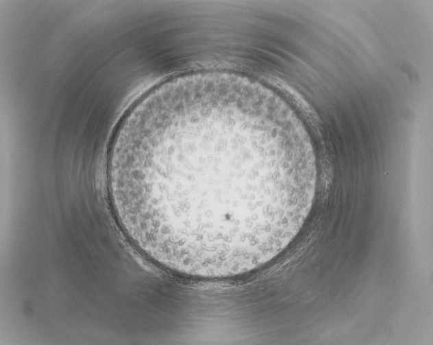 X0000115050894200912071128