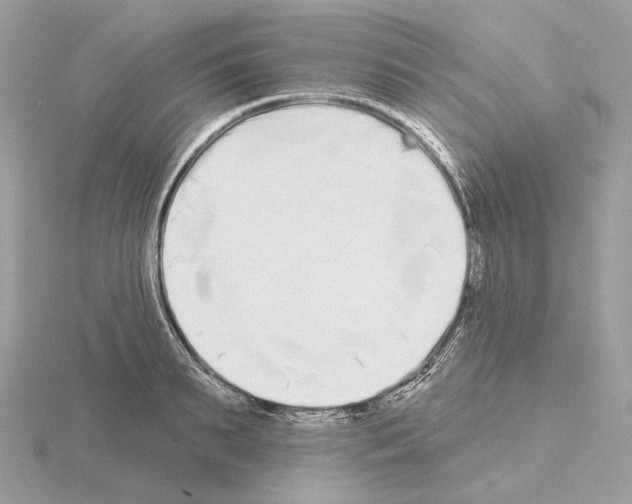 X0000115050895200912071128