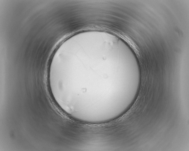 X0000115050896200912071128