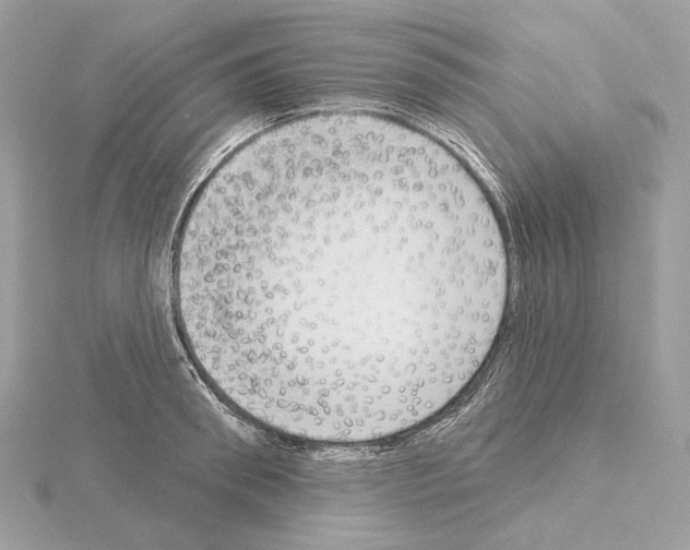 X0000115050898200912071128