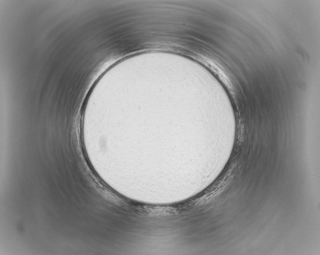 X0000115050899200912071128