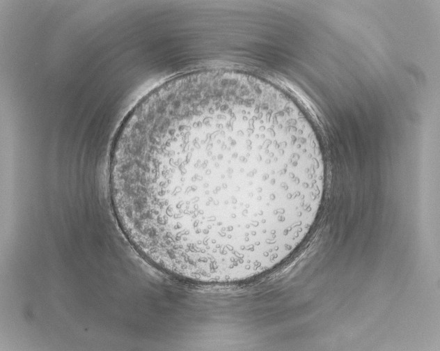 X0000115050902200912071127