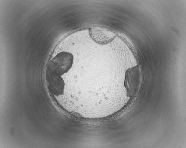 X0000115050903200912071127