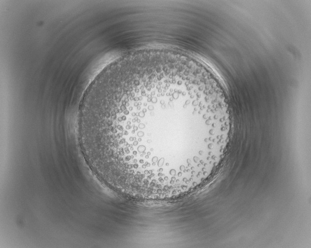 X0000115050906200912071127