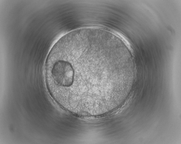 X0000115050907200912071127