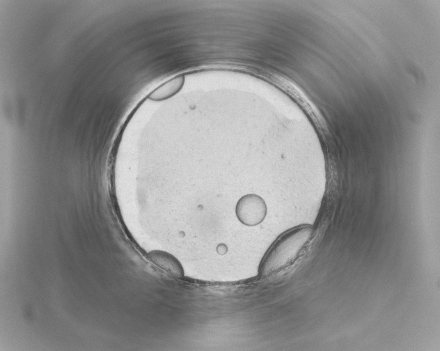 X0000115050908200912071127