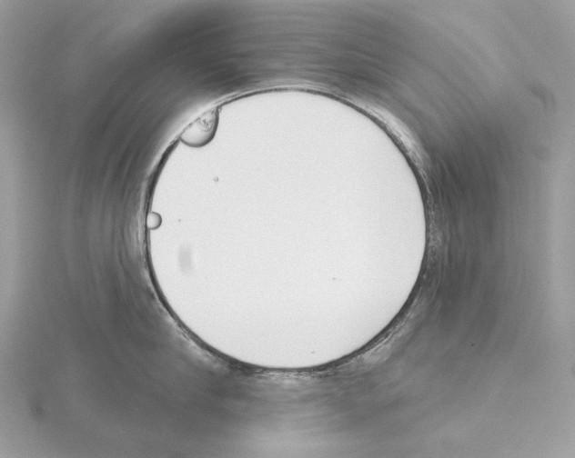 X0000115050910200912071127