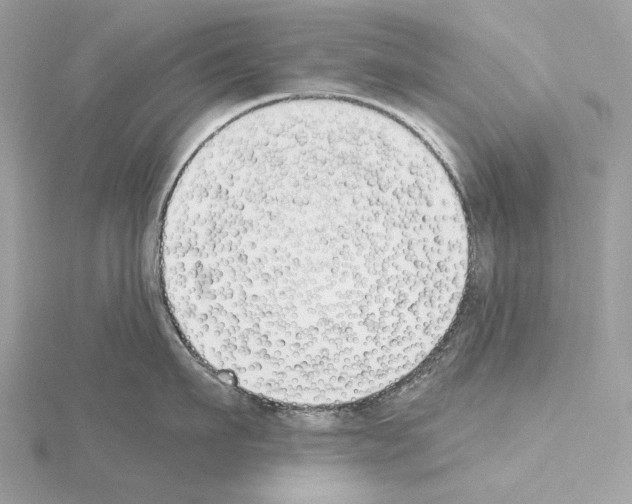 X0000115050911200912071127