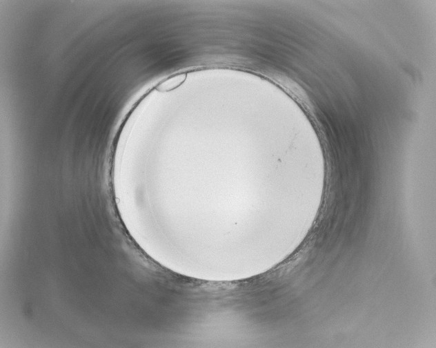 X0000115050912200912071127