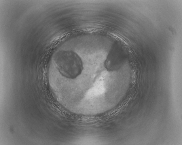 X0000115050917200912071127