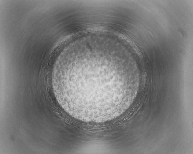 X0000115050919200912071127