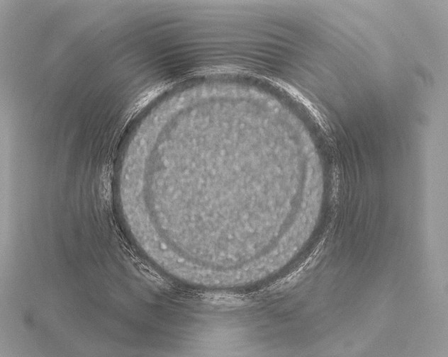 X0000115050921200912071127