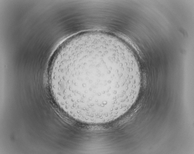 X0000115050927200912071127