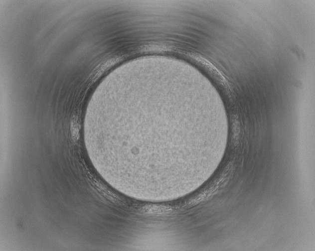 X0000115050929200912071127