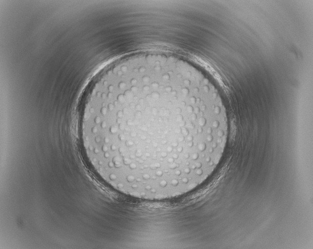 X0000115050931200912071127