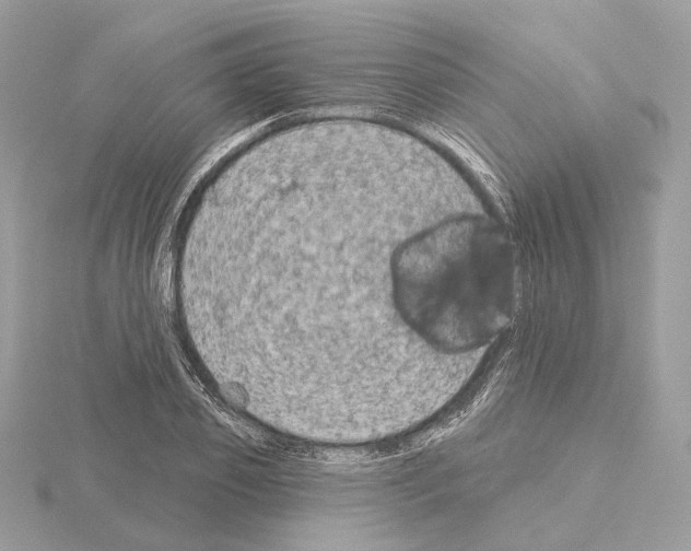 X0000115050933200912071127