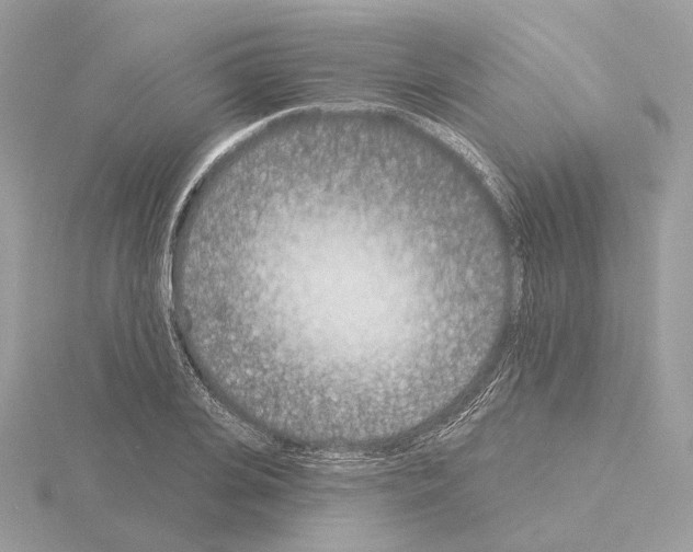 X0000115050935200912071127