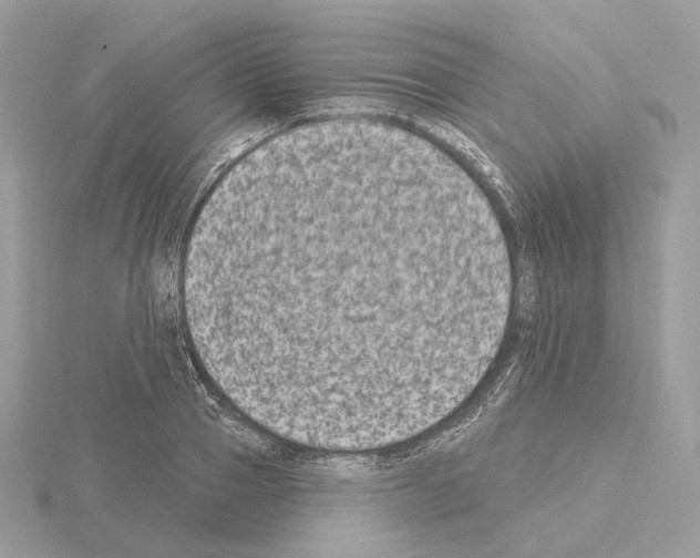 X0000115050937200912071127