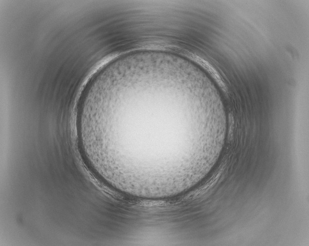 X0000115050939200912071127