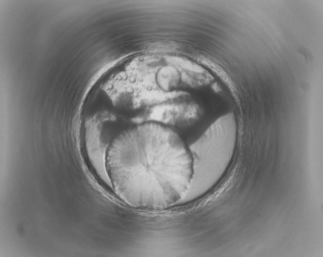 X0000115050941200912071127