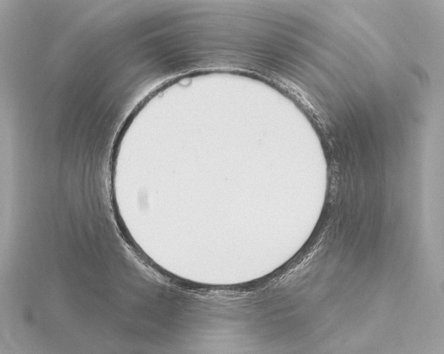 X0000115050942200912071127