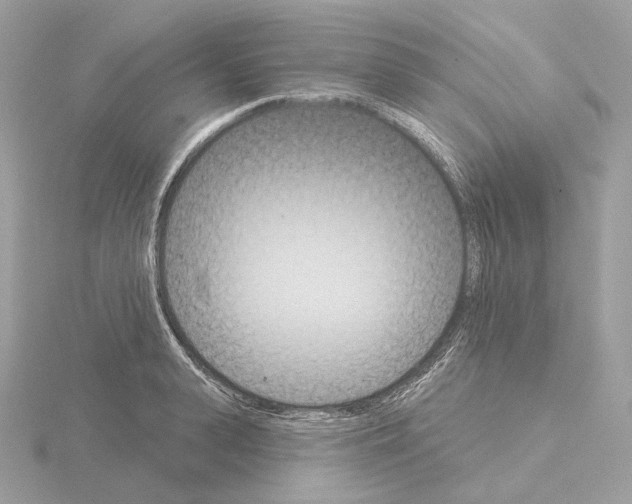 X0000115050943200912071127